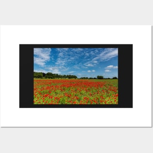 County Durham Poppies Posters and Art